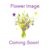wholesale burgundy carnations-nationalflowermart.com