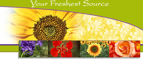 flowers at wholesale prices delivered right to you