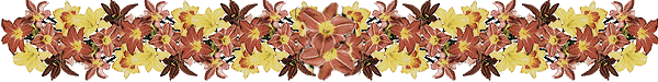 Wholesale Flower Supplier - National Flower Mart